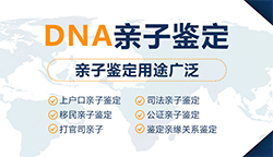 楚雄司法DNA鉴定需要怎么做，楚雄司法DNA亲子鉴定结果需要多久