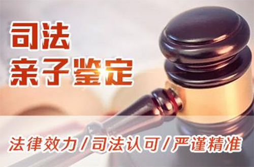 楚雄司法DNA鉴定详细流程及材料,楚雄司法DNA亲子鉴定机构