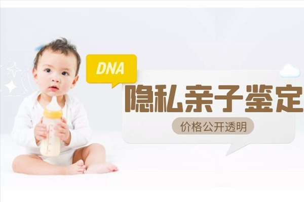 楚雄私密亲子鉴定需要的条件和材料有哪些,楚雄隐私亲子鉴定如何办理