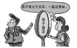 楚雄能办理亲子鉴定吗，楚雄亲子鉴定流程