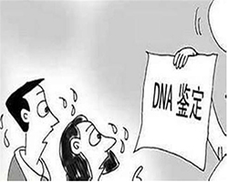 楚雄隐私DNA亲子鉴定要多少钱的费用，楚雄隐私DNA亲子鉴定结果多久出来
