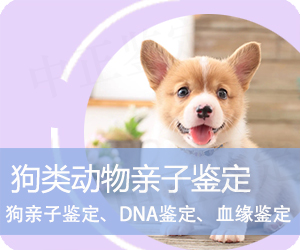 楚雄狗类动物亲子鉴定