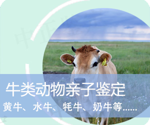 楚雄牛类动物亲子鉴定