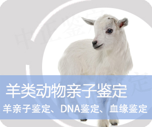 楚雄羊类动物亲子鉴定