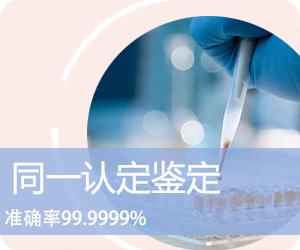 楚雄DNA同一认定