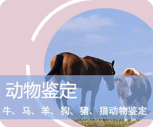 楚雄动物鉴定