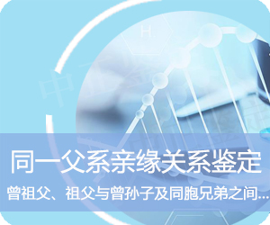 楚雄同一父系亲缘鉴定